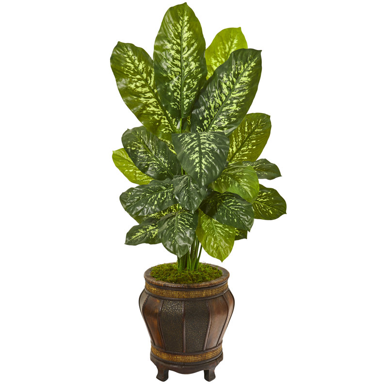 Gracie Oaks Artificial Dieffenbachia Plant in Planter Wayfair